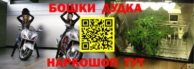 a pvp Лесосибирск