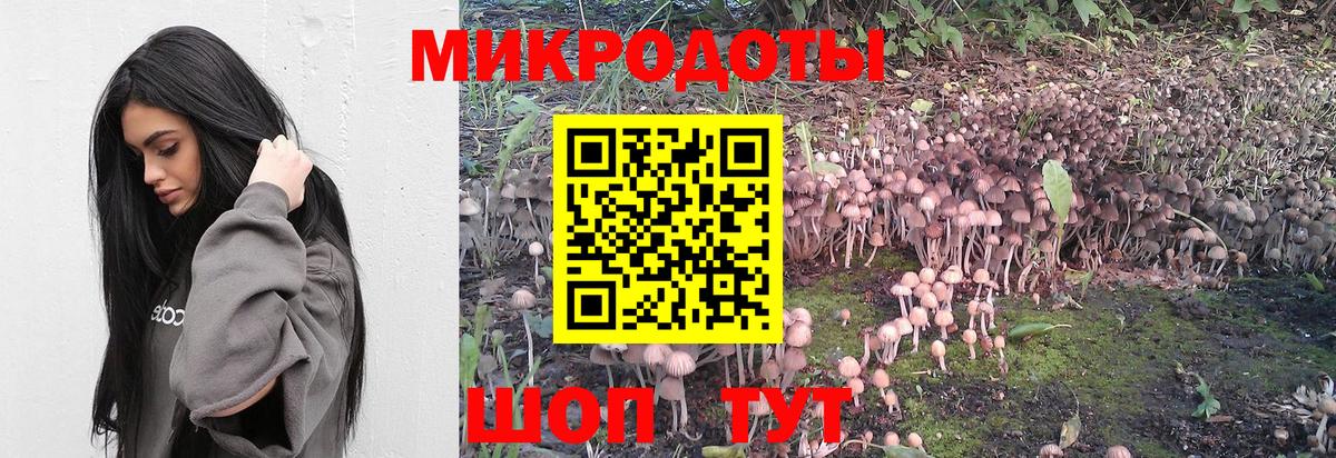 Псилоцибиновые грибы GOLDEN TEACHER  Псилоцибиновые грибы Psilocybe  Приморско-Ахтарск  купить наркотики сайты  Вход с VPN 