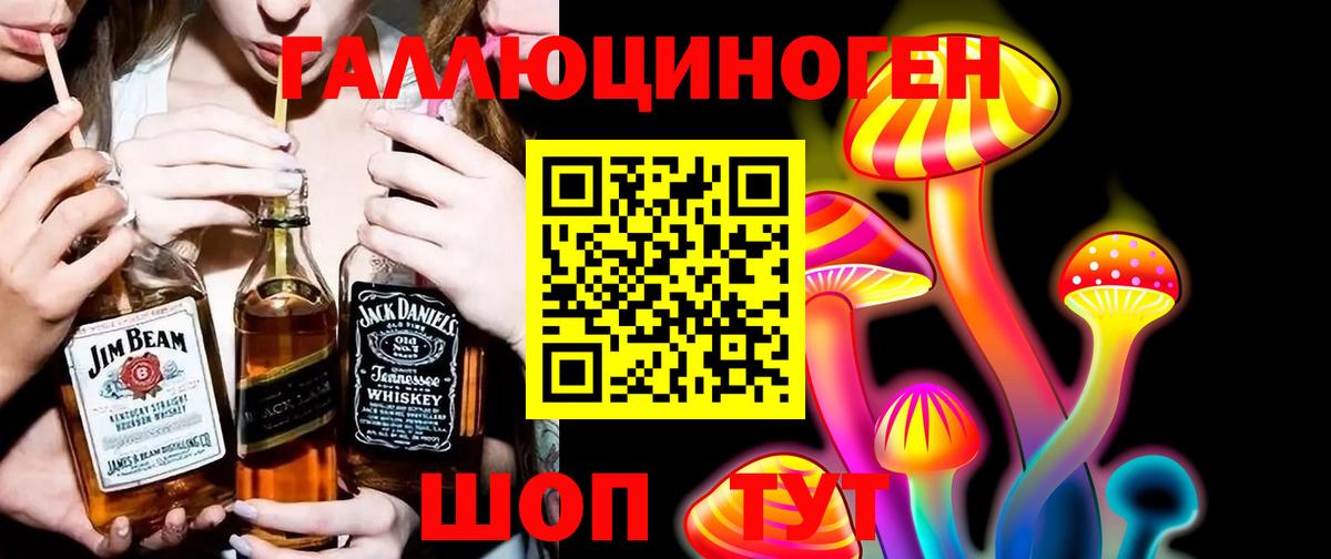Псилоцибиновые грибы мицелий Приморско-Ахтарск